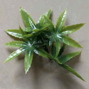 ֲGֲˮˇgb쾰辰c}Qާ