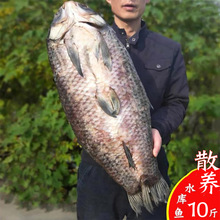 �B�d��·���~���خa���~�ɸ�؛�~�������L�����~���l���~�D�~���~