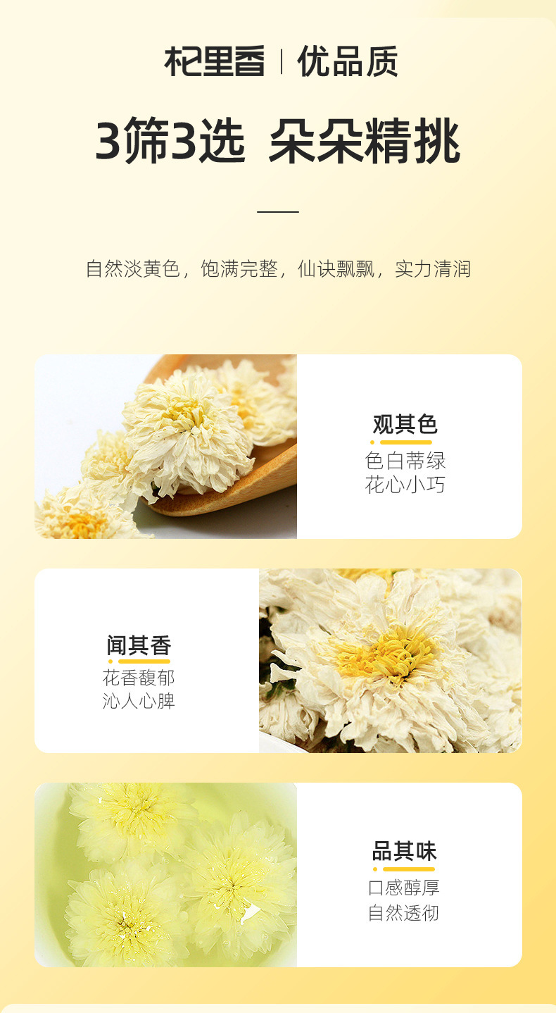 Huangshan Gongju White Chrysanthemum Flower Tea 25g Jar Dried Chrysanthemum for Daily Herbal Tea specifications