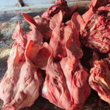 新鲜猪脸过年菜猪头膏腊货冷冻猪头绍兴整车发带耳去毛净猪头批发