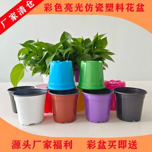 �S�����l ���ϻ��� ������ ��ɫ�pɫ����  ���⻨�� ��ɫ���ϻ���