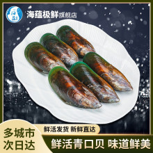 ���N�O�r�����r���r�����ؐ ���r�����m����Oؐ 1000g(����) ��