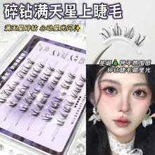 �嶵��荝M���Ǽٽ�ë�ֶ�ʽС����С؈��С�̺�С؈����R������