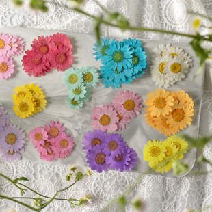 Crystal chrysanthemum flower dried flower diy greeting card bookmark glue jewelry accessories aromatherapy candle accessories embossed dried leaf real flower