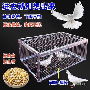 ����\����������ֻ�M�������ӻ\��jײ�T�����Ԅ��T�M����