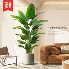 �����B����Gֲ�p���҃ȿ͏d��ط��������Լ�ֲ���b[�����滨