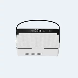 Insulin Refrigeration Box, Rechargeable Car and Home Dual-Use Small Refrigerator, Medicine Refrigeration Box, Medicine-Specific Refrigeration Box