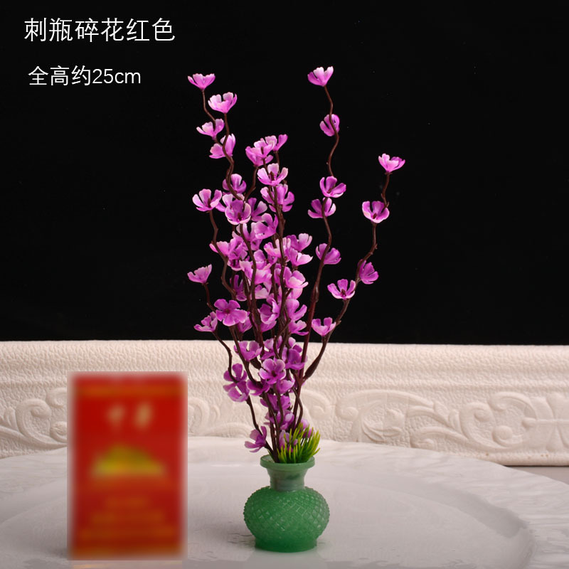 가시 병 플로럴 레드