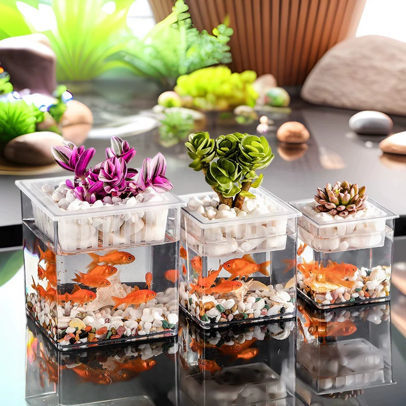 Маленький пластиковый квадратный аквариум для гостиной, настольный мини-аквариум для экологической гидропоники, аквариум для петушков и золотых рыбок