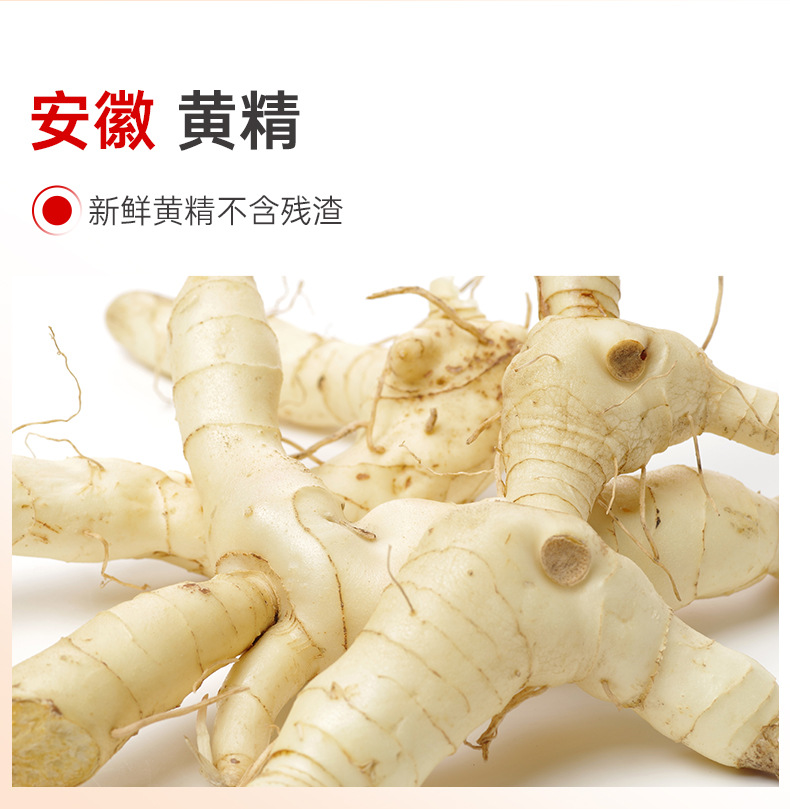 Ginseng Goji Polygonatum Vitality Drink 500ml Herbal Blend Ready to Drink quality and texture