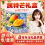 四川节日福利员工芒果