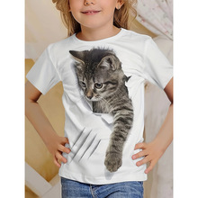 U 36248 Cat Print Loose Tee è��ӡ������ T ���羳����ͨ