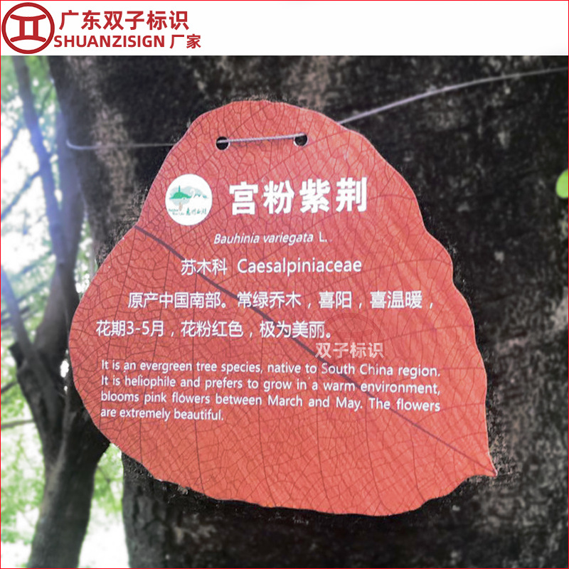 不锈钢仿木纹景区标识指示牌简介牌 仿木头树铭牌 植物介绍牌户外