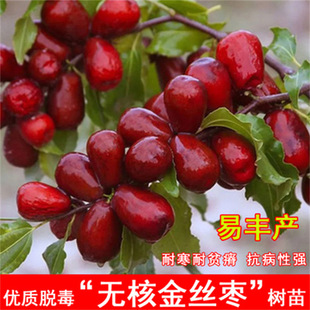 ��z�����綬��մ�����ϱ����Nֲ�������Ե���ͥԺ���䮔��Y����