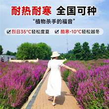 ����ˮ��ˮ����ɫ���ܝ��ǧ���˻��N��ˮ���ӵ��~��ˮ�ݶ�����