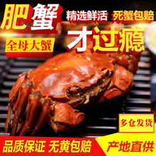 10ֻ���]�F؛�K�ݴ��lзȫĸ�з�r��ȫ�����r��зˮ�a�Y�����l