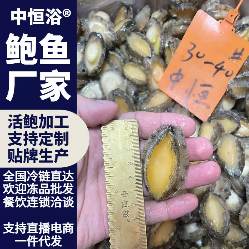 鲍鱼肉 佛跳墙清蒸浇汁食材 供应酒店餐厅30-40头 海鲜冻品批发