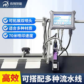 打生产日期喷码机全自动流水在线式二维码图片logo纸箱喷墨打码机