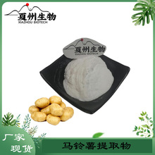 马铃薯提取物10/20/30/50:1  土豆蛋白60%  土豆蛋白粉  优质供应