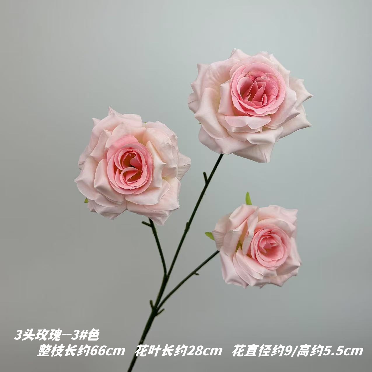3 # 색상