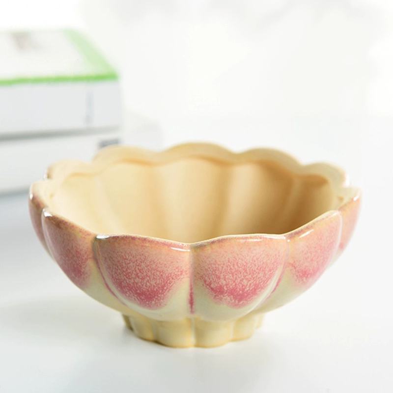 Длинный мясистый цветочный горшок забавный креативный индивидуальный цветочный горшок большого диаметра