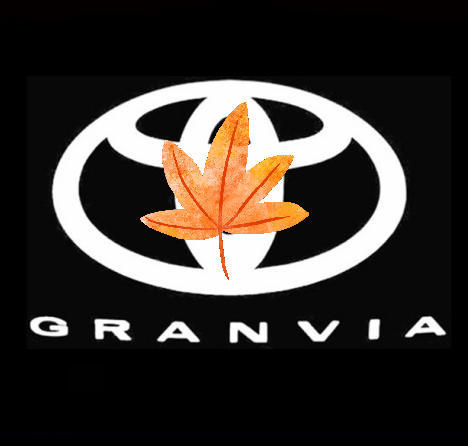 Aplicable a la luz de bienvenida de Toyota Senna Grivia Senna puerta láser no desvanece lámpara de proyección de puerta