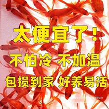 �B����B�ͻ�С�ͼt�J�׺��a�~�絭ˮ���~�~����~�w�^�p�~��ˮ