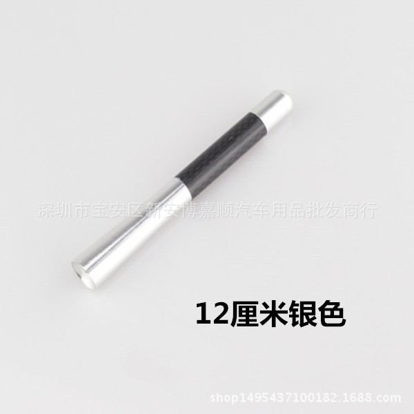 12厘米银色天线