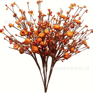 �羳�����＾�{����֦ �＾�{��������ҼҾ��b��＾�b���ɫ