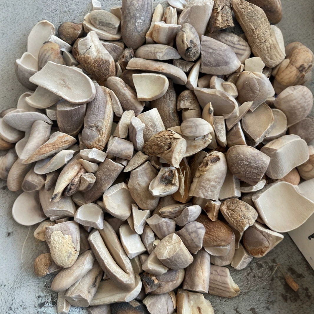 蒙藏药材    芒果核    批发零售    量大从优