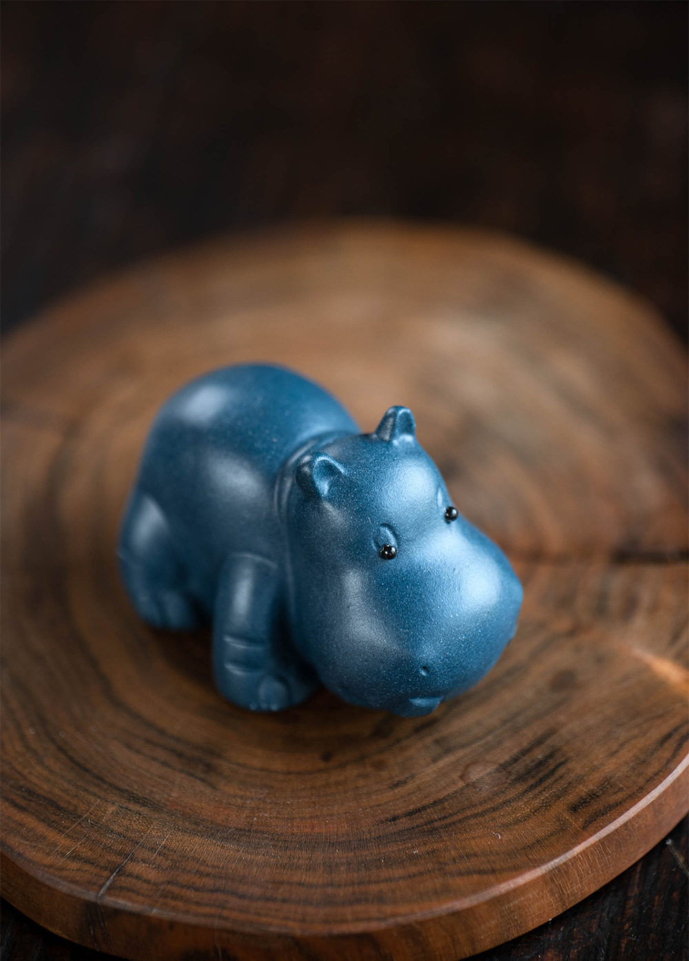 小河马20240528 (5).jpg