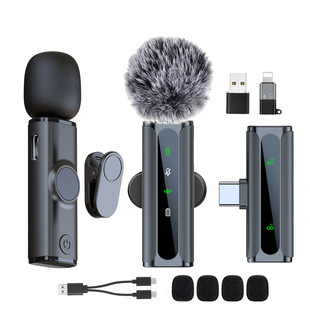 Original Private Model H66 Wireless Lavalier Microphone Radio Noise Reduction Outdoor Live Video Shooting Portable Microphone
