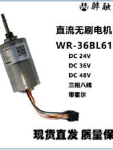 BLDCֱ����ˢ��� 24V 36V 48V �������/������