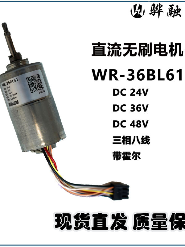 Bldc Brushless Dc Motor 24V 36V 48V Three-Phase Eight-Wire/With Hall Sensor