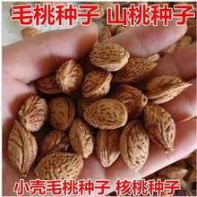 ëҷNëҘNëҺ˷NҘNӿ޽ëҹN