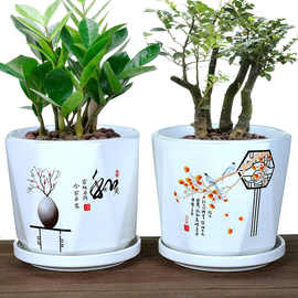 简约陶瓷花盆大号创意个性带托盘家用绿萝蝴蝶兰花盆盆栽盆器