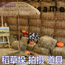 �ݶ�ɵ��ݶѲݶղݶ���ӸɲݔzӰ���ýն��Ȳ�¶�I���c�Շ��b�