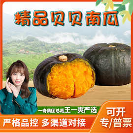 山东潍坊贝贝南瓜 代发5斤香糯板栗味小南瓜当季新鲜蔬菜