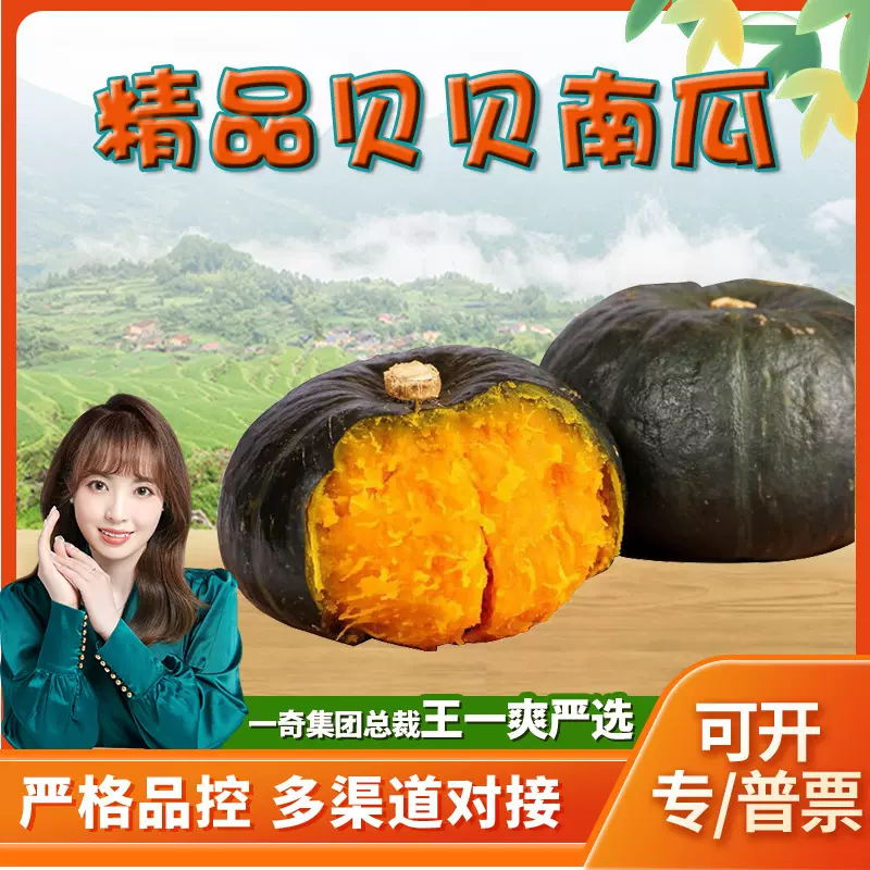 【严选】山东潍坊贝贝南瓜 代发5斤香糯板栗味小南瓜当季新鲜蔬菜