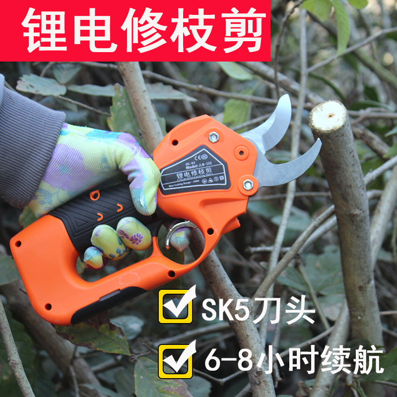 电动修枝剪园林粗枝电剪刀锂电充电式园艺剪无线果树剪树枝花艺剪|ms