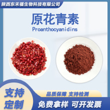 ԭ������95%OPC��������ȡ��ˮ�ܻ����·�Peanut Skin Extrac 1kg