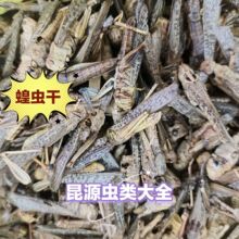 Λ�Ƹ����l���ΛΛ�Ƹɻ��x�Ʉ����Λ������Bʳ���Λ�Ƹ�����