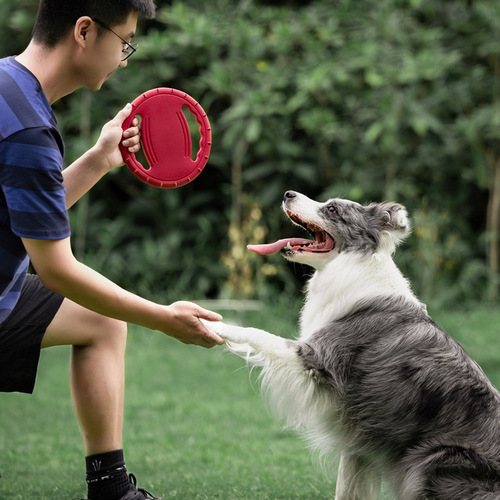 Meianju Steering Wheel Dog Soft Frisbee Dog Interactive Training EVA Material Floatable Frisbee Pet Toy
