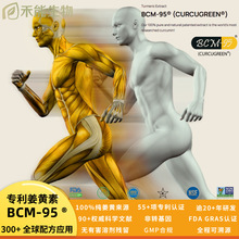 �������S��BCM-95ӡ��Arjunaԭ�b�M��
