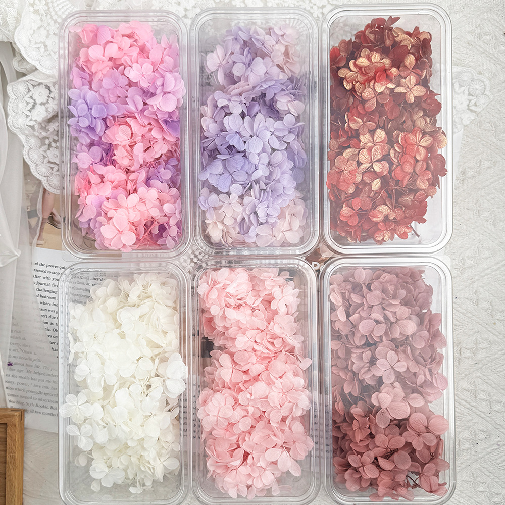 ✅ Flores secas flores eternas hortenida color gradiente material hecho a mano bolsa de calzado de boda cubierta de vidrio grupo de construcción de flores actividades