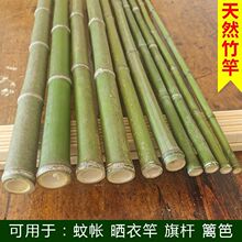 竹竿子搭架菜园晾衣竿挂蚊帐杆旗杆细竹子竹条篱笆批发瓜架独立站