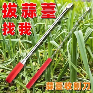 2���b���������p5Ԫ������̦�ո�������΄������̦������