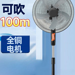 落地电风扇静音家用立式夏天遥控电扇大风力纯铜电机寸风扇