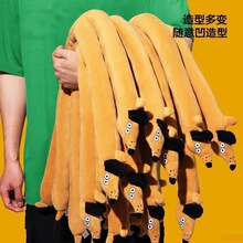 �L�l�D�c��ë�q���һ�l����ż���L�l���й�����ż�ͶY���