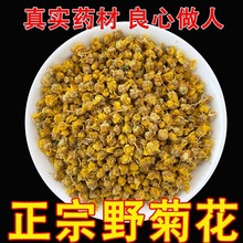 野菊花茶野生胎菊正品散装苦小干米菊新货中药材药用茶天然